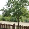 SOLD! #36 6852 193 st